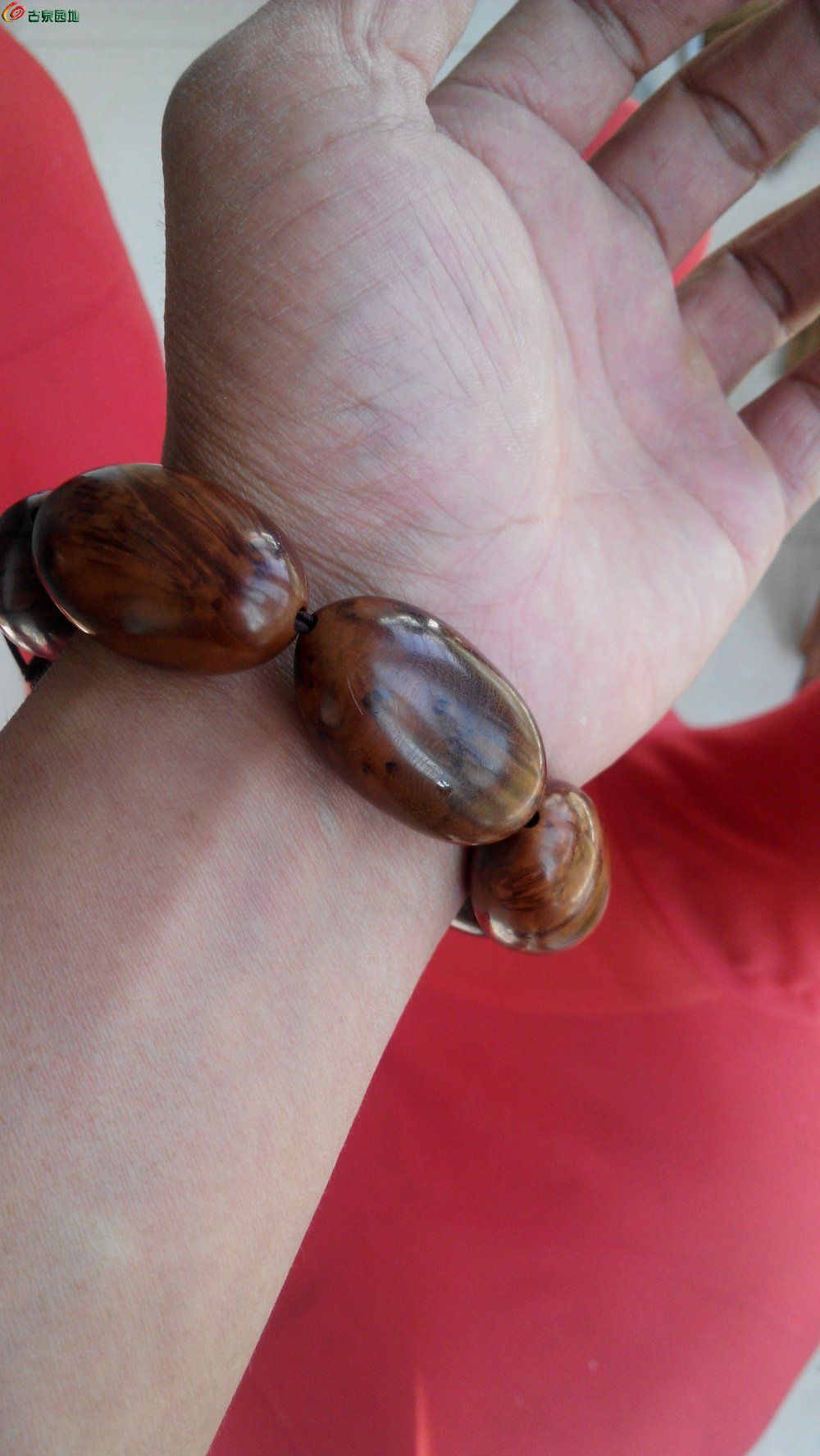 51吃瓜台北娜娜