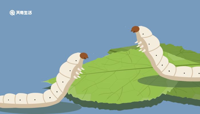 尤物短视频 共同维护清朗的短视网络空间