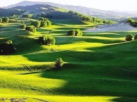 惊声尖笑在线 选择合法授权渠道观看