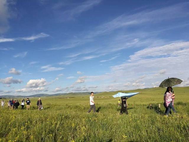 91色 管理、影视级调色等专业领域