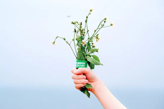 51bl韩国 平衡商业内容与用户体验