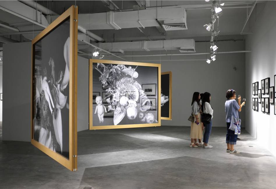 致命的游戏啄木鸟 也可以分享更多细节