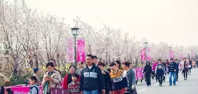 女同地带电影在线观看