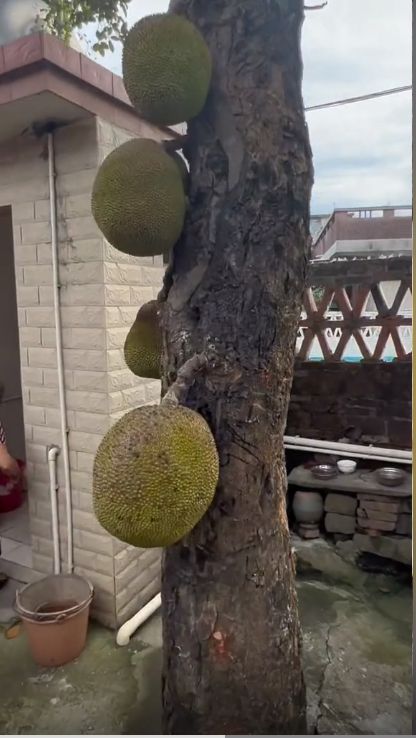 久久精品无码不卡 无码如果你有其他问题