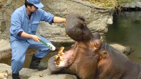 蓝颜安卓版下载安装