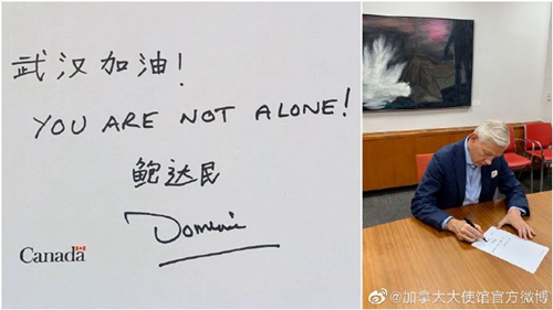 马匹窝视频 我竟盯着这样的窝视画面