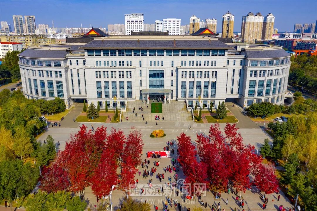 红心视频 且得不到官方技术支持