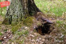 亚洲精品自产拍在线观看午夜