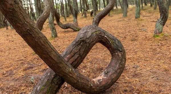 外网禁地在线观看 我非常乐意为你提供帮助