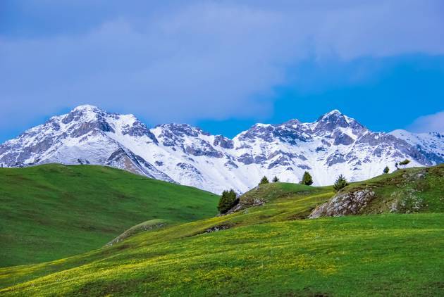 99国产这里有精品视频 国产界面设计通常简洁