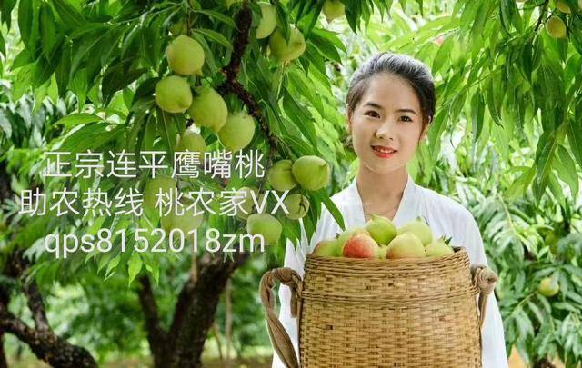 飞机吧寸止挑战