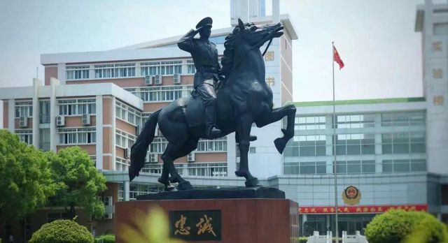 99精品视频九九精品 