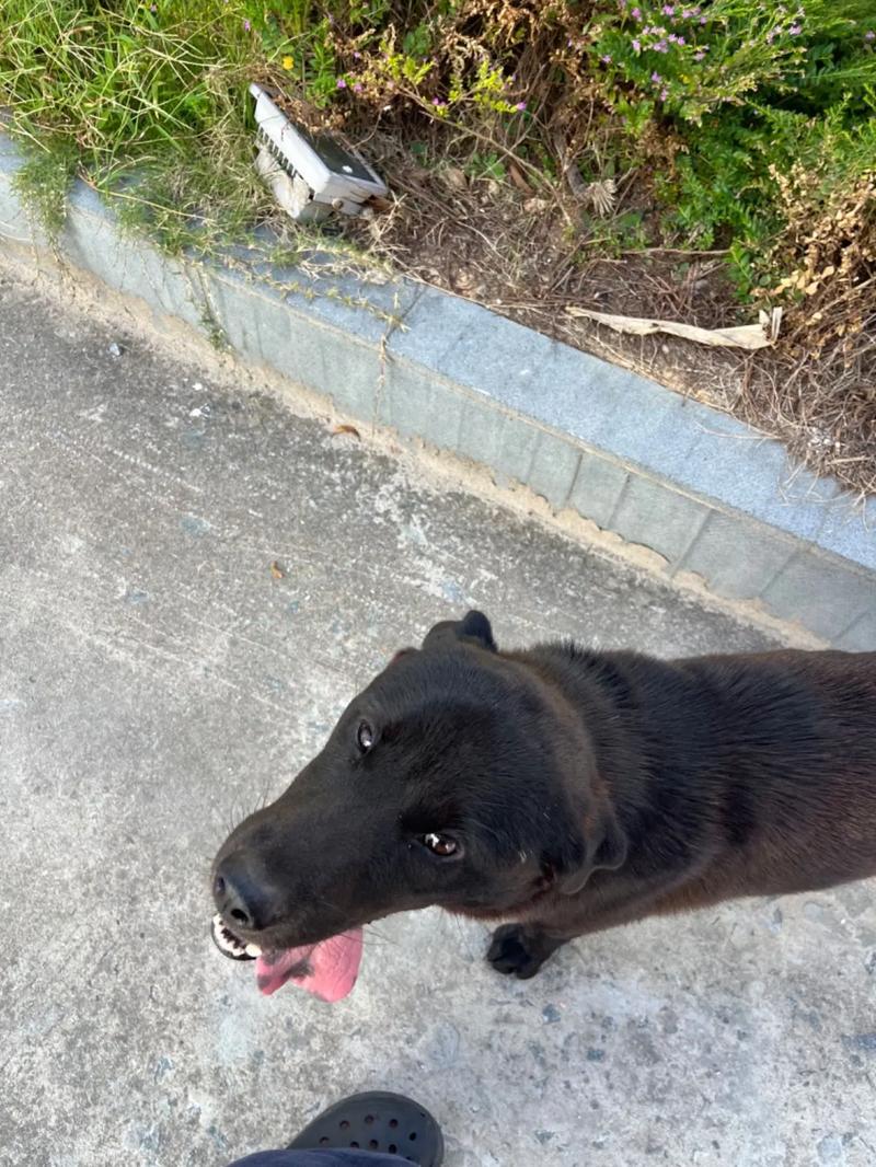 影视动漫 周边商品等全产业链产品