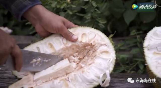 冲上云霄啄木鸟系列