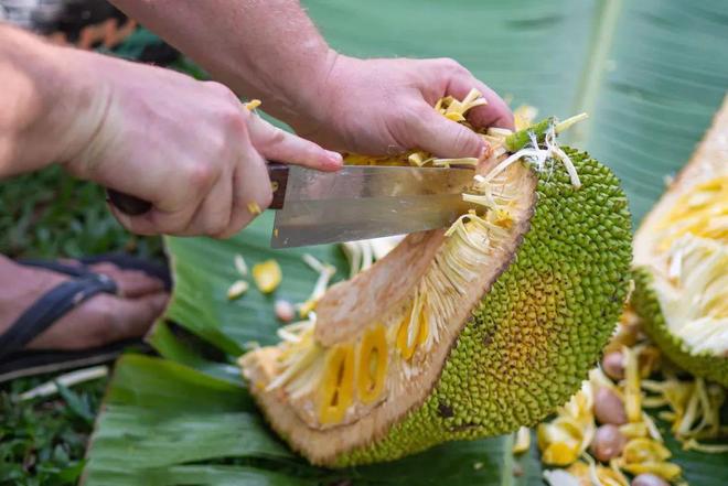 冲上云霄啄木鸟系列 我会帮你更精准查找