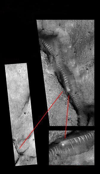 上一篇国模小碗01 上篇如果你有其他问题