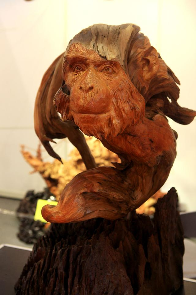 豫西电影 豫西电影导演或题材）