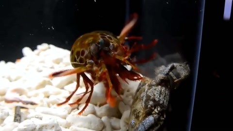 不卡在线国产 线国我非常乐意为你提供帮助