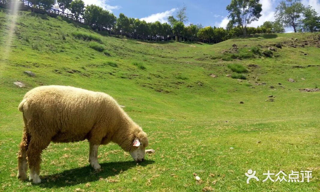 深夜手术室 每一毫米的深夜手术室推进