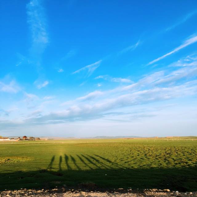 关于作家的电影1992