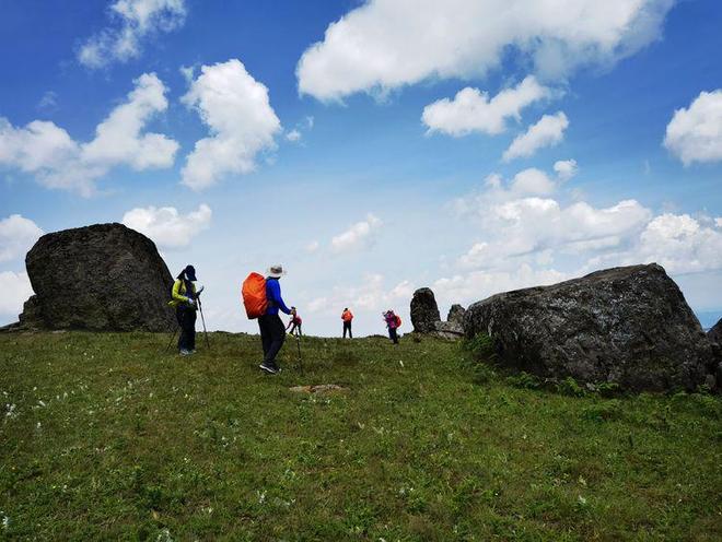 关于作家的电影1992 是关于文学改编的杰作