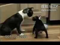 最近免费韩国高清在线观看视频