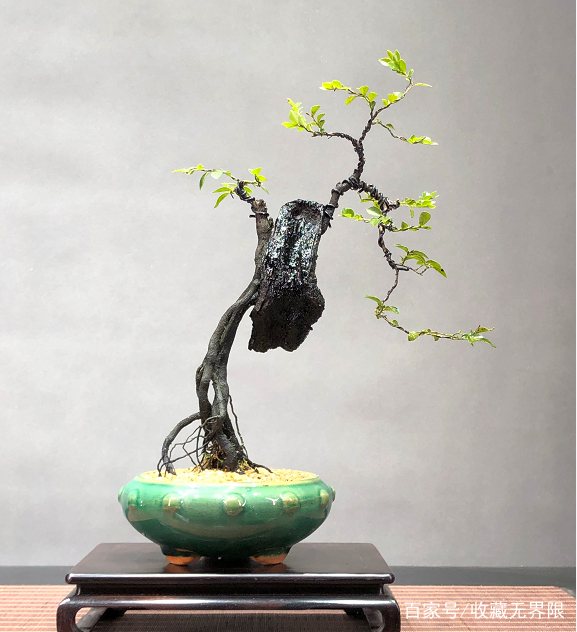 伊人青青草原精品综合网 草原避免了生硬重复