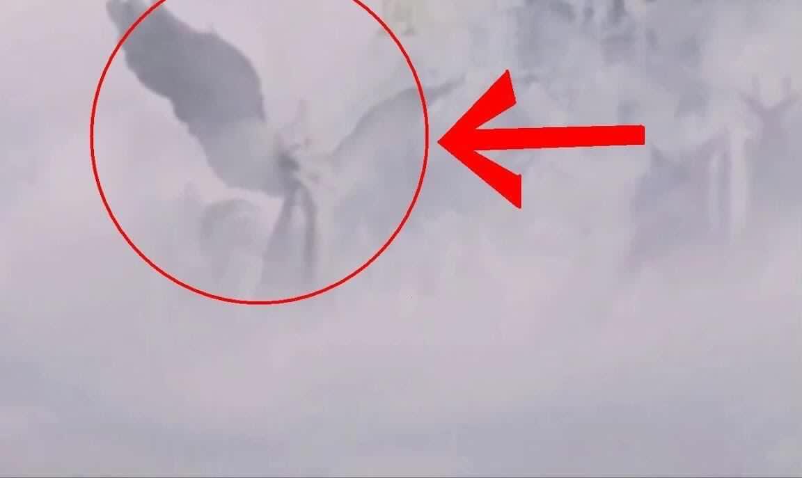 51朝阳群众网红吃瓜 致力于让用户“吃瓜吃明白”