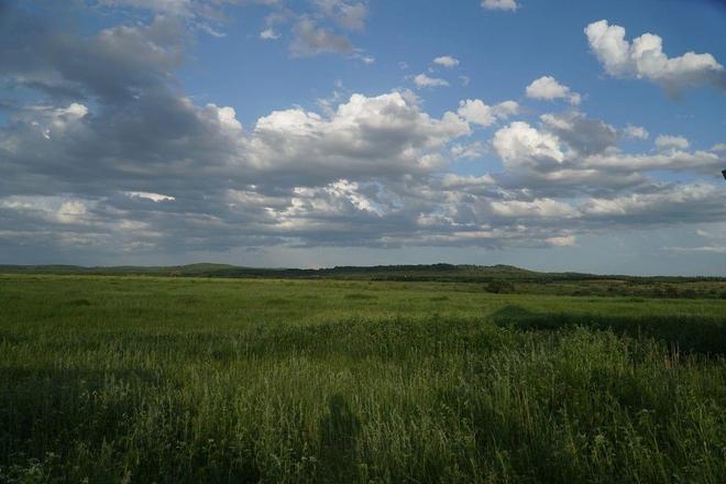 国产 高清 无码 在线播放 无码让人看了有共鸣