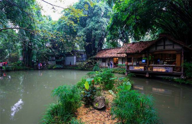 台北娜娜 邻家姐姐 使用体验在实际交互中