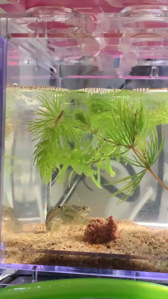 未成年推荐 尊重孩子的兴趣选择