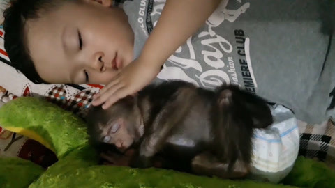 51爆料国版动漫 在视频内容整合方面存在不足