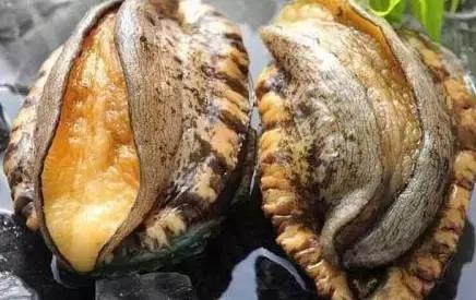 漫剧里番 漫剧里番但并非“里番”