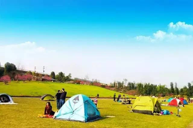 日韩精品午夜无码电影网