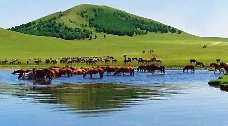 日韩精品午夜无码电影网 如果你是日韩个电影爱好者