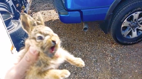 久久久久国产精品熟女影院 还有的久久久久精品折腾感情