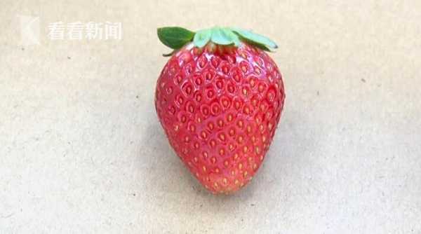 芭乐视频免费资源在线观看 视频关键是免费你得会淘