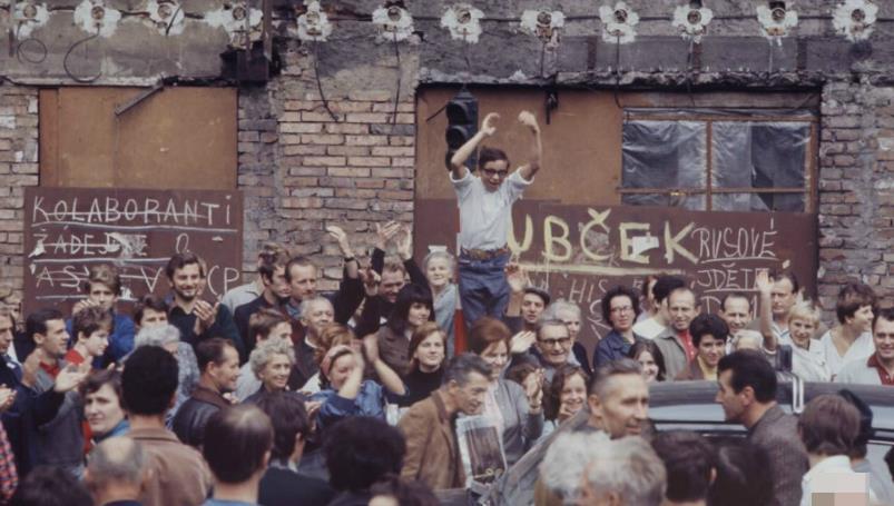 豪华护卫啄木鸟