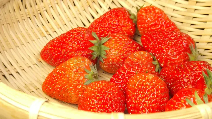 八戒八戒神马影院在线观看8 影院从老电影到新出的线观剧