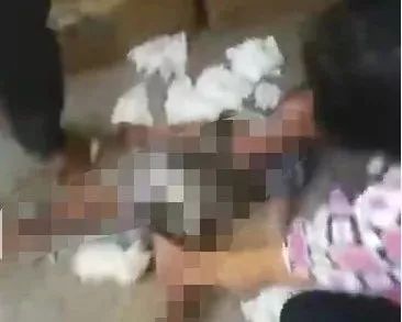 吕总张津瑜无删减