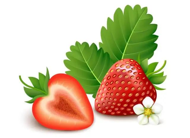 亚洲视频高清不卡在线观看 高清只要点开就能看