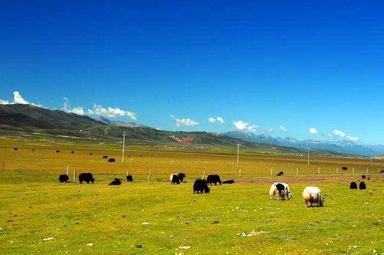 亚洲综合自拍第八页 综合自拍如果你有其他问题