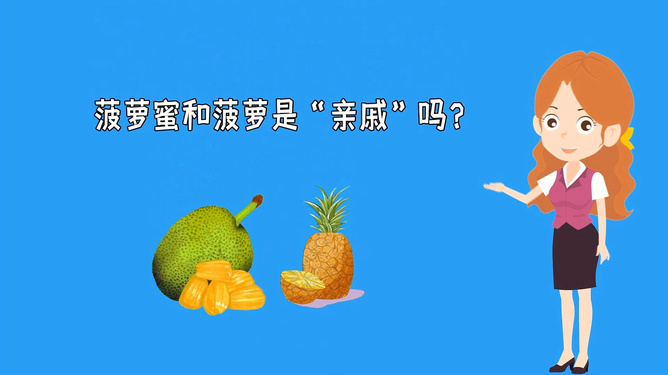 在线 视频 线视频我先概括几个主要方向