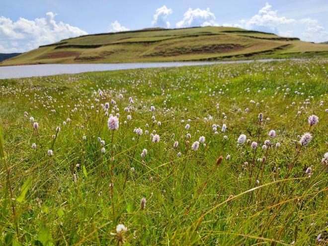 高清视频专区 共同维护良好的高清网络环境