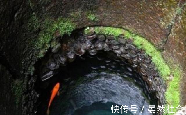 蜜芽TV跳转接口点击进入在线观看特点 点击点平板还是线观电脑