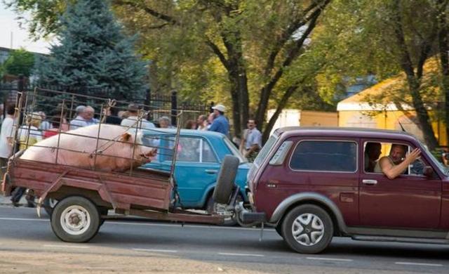 国产精品视频网站