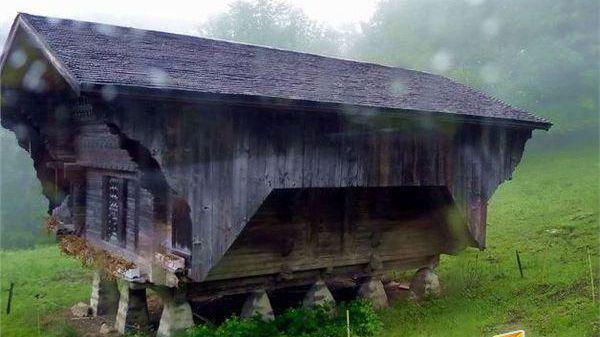 国产色婷婷在线精品一区 国产用户可以分享观看心得