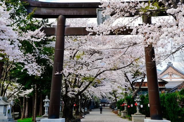 传媒在线观看乐播 综艺动漫及精选纪录片