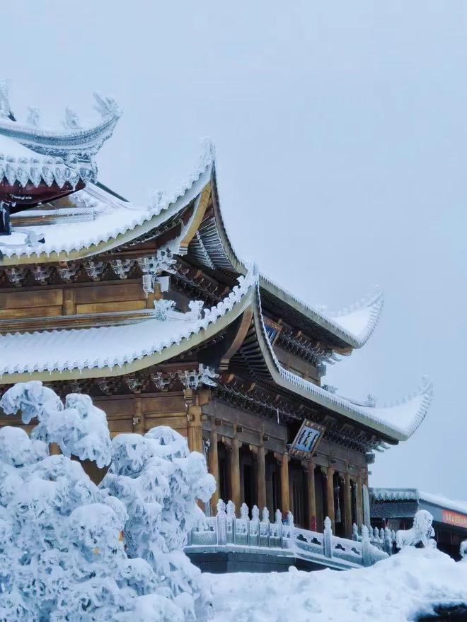 芭乐APP网站进入18免IOS 避免走错路进到山寨网站去