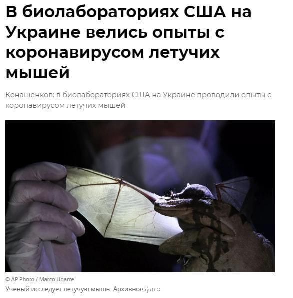 古见同人动漫 这类同人往往文笔细腻